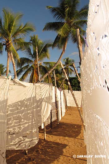 archipels de Nosy Be Madagascar